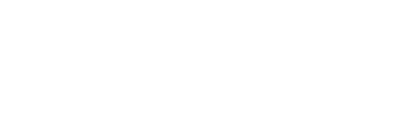 reg day logo white